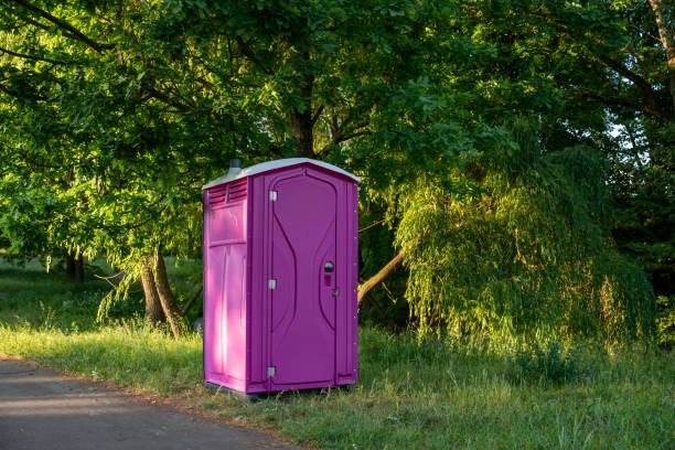 Best Luxury portable toilet rental  in Georgetown, DE